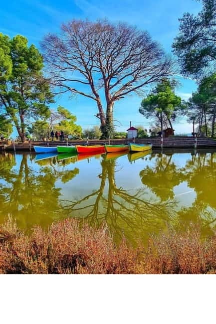 From Durres: Karavasta Lagoon & Apolonia Ancient City Tour - What the English guide brings, plus the extras you might get