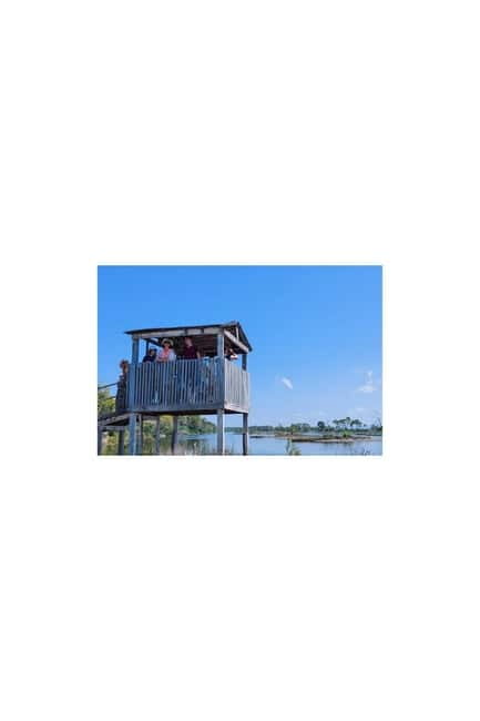 From Durres: Karavasta Lagoon & Apolonia Ancient City Tour - Karavasta Lagoon boat tour and bird watching in the national park