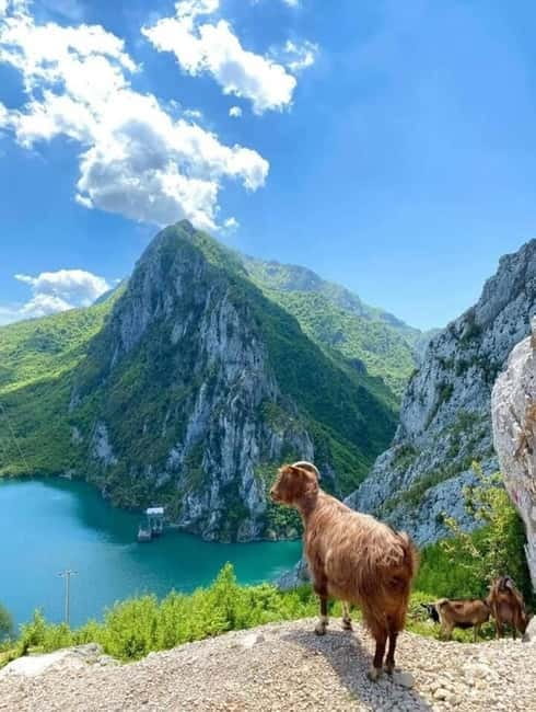 From Tirana: Bovilla Lake and Gamti Mountain Tour - Lake Bovilla, the calm start that sets the tone