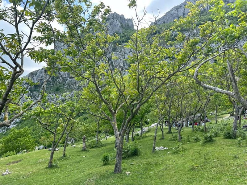 From Tirana: Bovilla Lake & Gamti Mountain Viewpoint Hike - Price and value: $12 for transport, guide, and entry