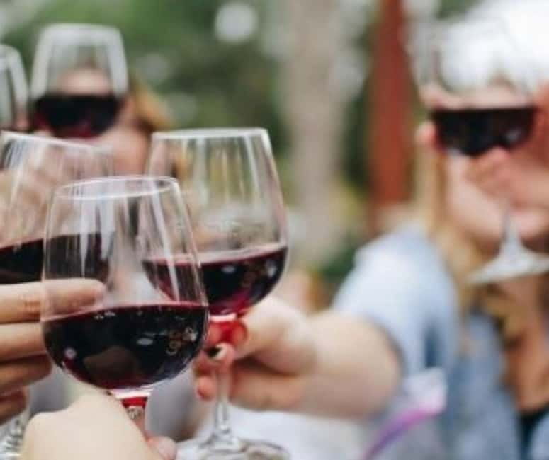 From Tirana: Cape of Rodon Castle, Beach & Wine Tasting Tour - Who this tour fits best (and who might want a different plan)