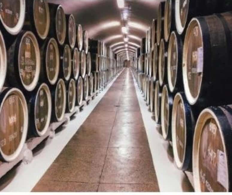 From Tirana: Cape of Rodon Castle, Beach & Wine Tasting Tour - FAQ