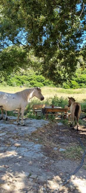 From Tirana: Cape of Rodon Sunset Photography Tour & Hiking! - Sunset photography at the seashore: how to make your 30 minutes count