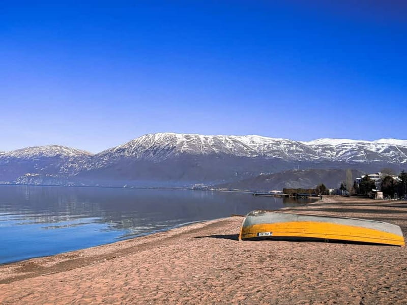 From Tirana: Day Trip to Korca, Pogradec and Ohrid Lake - Drilon Natural Park on Lake Ohrid: Willow Trees, Swamps, and Peace