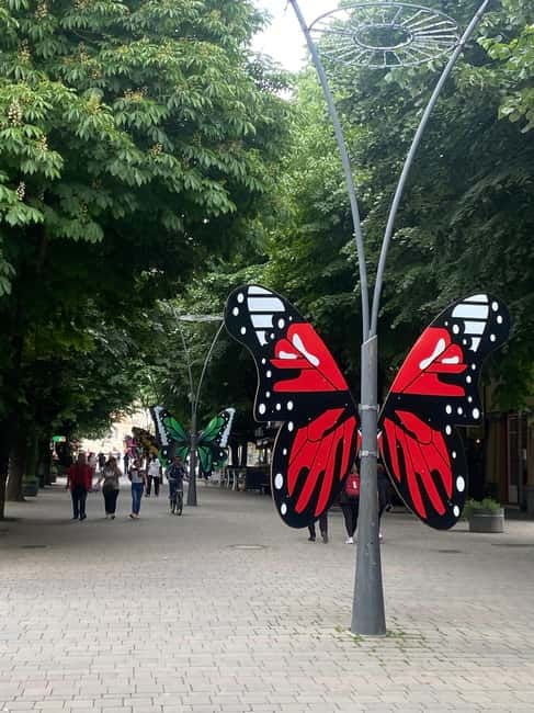 From Tirana/Durres: Korca, Voskopoja, Pogradec,Lin Day Tour - Korçë’s education story: Museum of Education and the university atmosphere