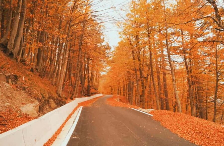 From Tirana / Durrës: Qafë-Shtamë, Sarisalltik & Krujë Tour - Price and Value: Is 206 USD Worth a Full Day Like This?