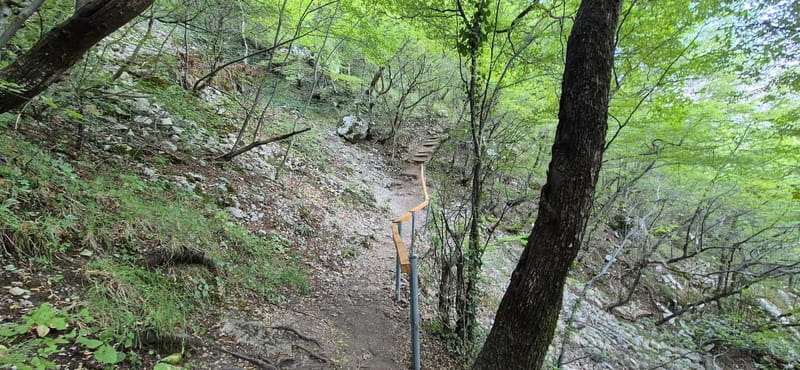 From Tirana: Hiking to Pellumbas Cave & Erzeni Canyon - The Erzeni River swim: cold year-round, clear enough to matter