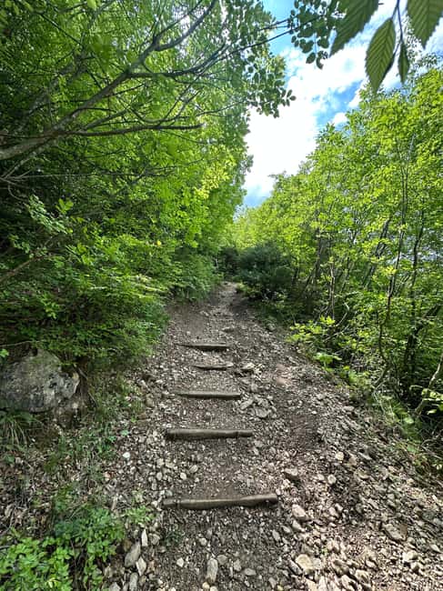 From Tirana: Pëllumbas hiking & Cave exploration - Should you book this Pëllumbas hike and cave exploration?