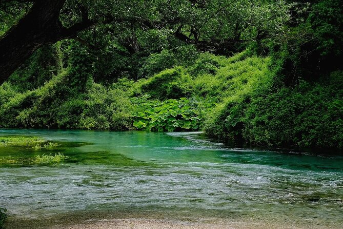 From Vlora: Albanian Riviera, Blue Eye & Gjirokaster Day Trip - Key Highlights You’ll Care About