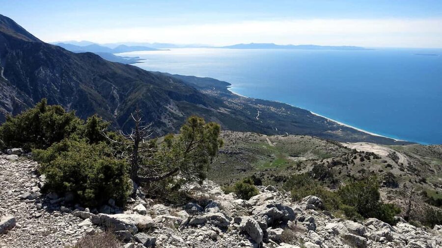 From Vlora: Llogara National Park & Himara Day Trip - Scenic drive into Llogara National Park, with Ionian Sea views on tap