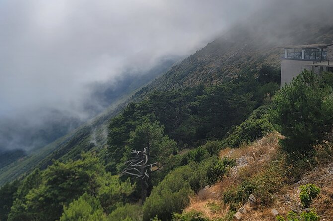 From Vlora: Llogara, Porto Palermo & Himarë - Llogara National Park: the 1-hour payoff from the Llogara Pass