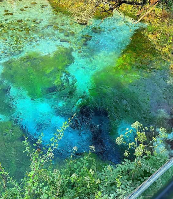 From Vlora:Tepelene Springs, Gjirokaster & Blue Eye Day Tour - Key highlights worth planning around