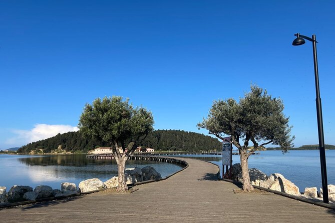 From Vlora : Zvernec, Apollonia and Berat Day Trip Experience - Key highlights to look for