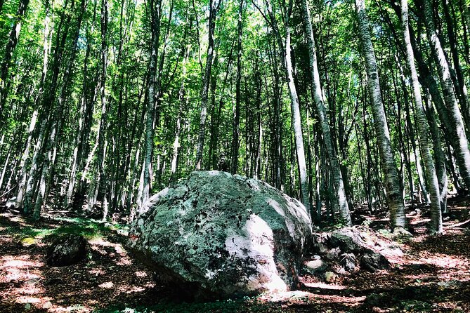 Full Day Tirana City & Dajti National Park, Private Tour - The Pyramid of Tirana and BunkArt 1: from public symbols to underground life
