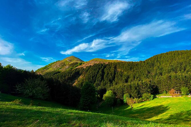 Full Day Tirana City & Dajti National Park, Private Tour - Dajti Ekspres cable car: the ride that changes your perspective