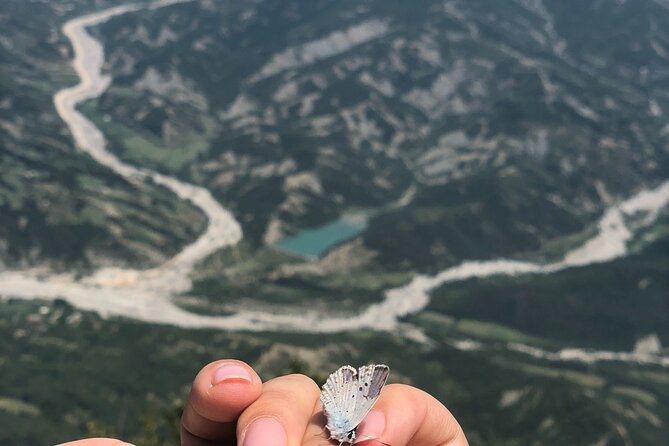 Full Day Tirana City & Dajti National Park, Private Tour - Dajti National Park hike in a beech forest, plus lunch included