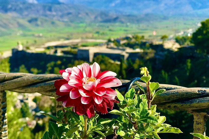 Gjirokastra, Full Day Trip from Tirana - Stop 1: Gjirokaster Bazaar, Ottoman Shops, and a Quick Food Mission
