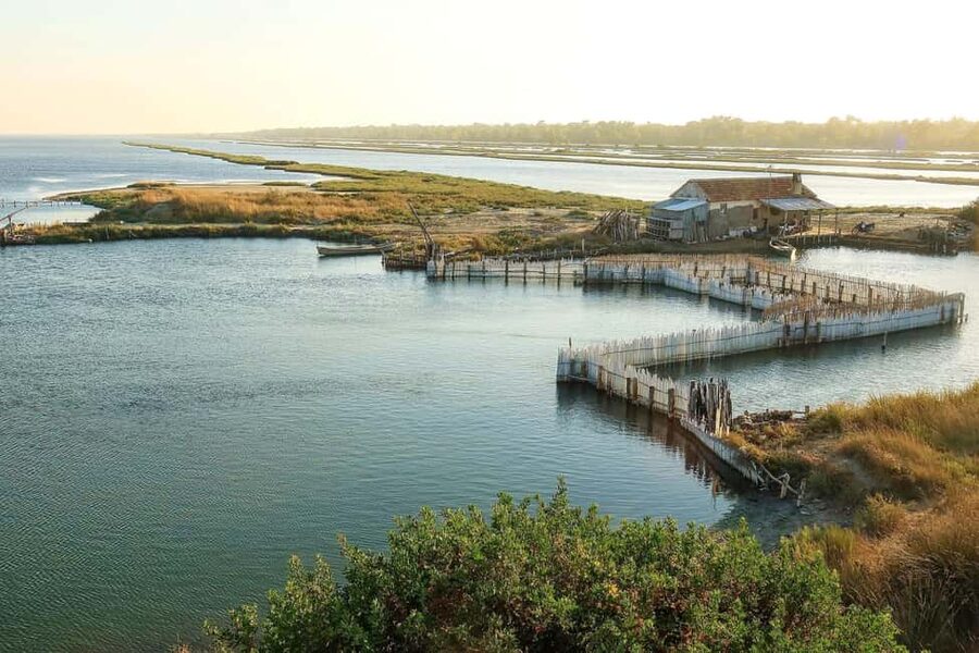 Golem/Durrës: Karavasta Lagoon Tour - Karavasta Lagoon Walks: Pine Forest Calm Meets Coastal Air