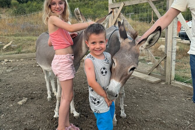 Gourmet Lunch Farm Tour with Cooking Class - Key Highlights That Make This Tour Worth Your Time