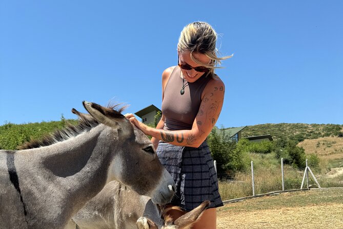 Gourmet Lunch Farm Tour with Cooking Class - Farm Animals, Goat Moments, and a Totally Different Kind of Lunch Break