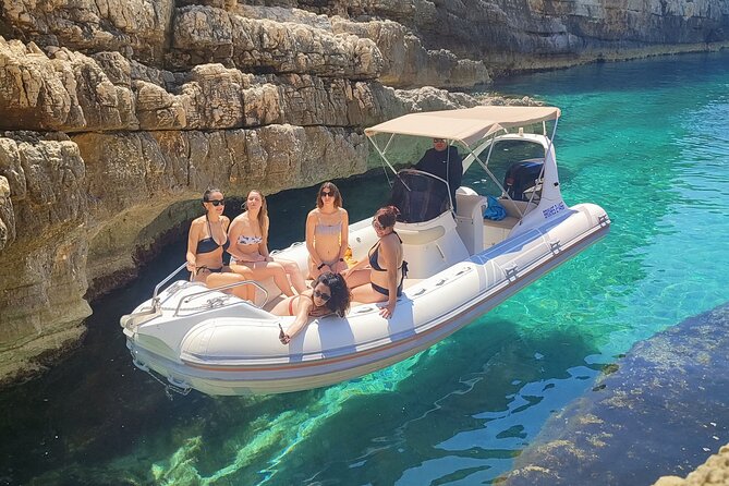 Half-Day Private Speedboat Excursion to Sazan Island & Karaburun - Key highlights to know before you go