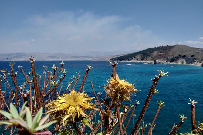 Half-day Tour in South Albania (Blue Eye, Lekursi Castle, Ksamil) - Timing, pickup in Sarandë and Ksamil, and how to stay smooth