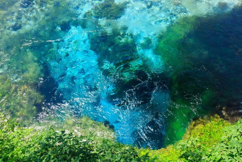 Half day trip to the Blue Eye - Walking into the greenery: narrow paths, cool air, and water sounds