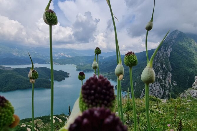 Hiking to Gamti, Bovilla Lake and Kruja Day Trip from Tirana - Transport, Group Size, and Pacing