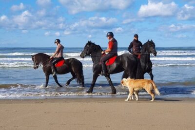 Horseback Riding Adventure in Durrës for Experienced Riders