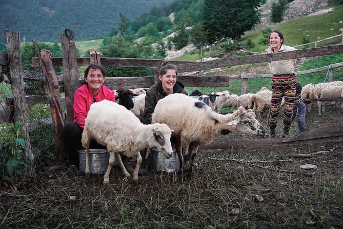 Immersive 2-Day Tour/Homestay with Shepherds in the Albanian Alps - Arriving at Qafe Perdolec and Getting Your Bearings