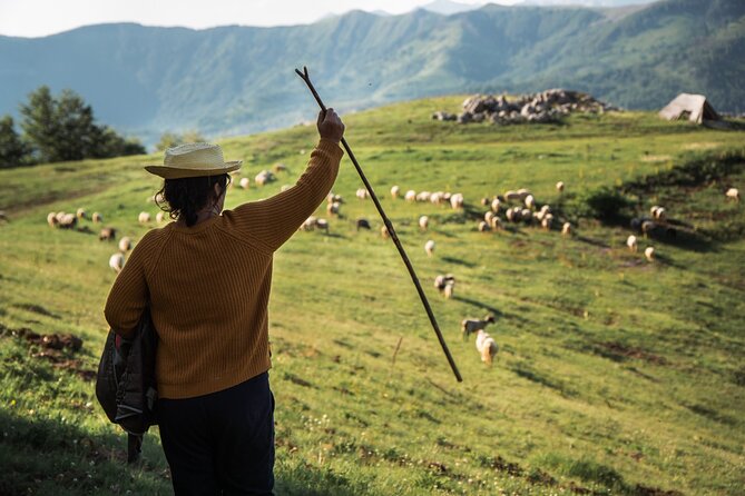 Immersive 2-Day Tour/Homestay with Shepherds in the Albanian Alps - The Hike to the Summer Encampment Near Lepushe