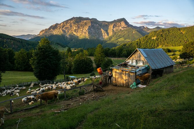Immersive 2-Day Tour/Homestay with Shepherds in the Albanian Alps - Day 1: Inside a Stan and Into Shepherd Daily Work
