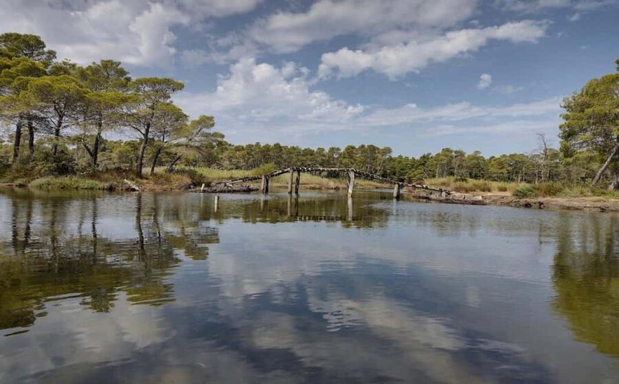Karavasta:Bird Watching, Tower Views & Lagoon Boat Ride - Pine Forest Walk and Ramsar Birdwatching at Karavasta
