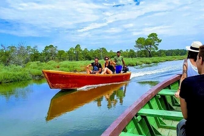 Karavasta Lagoon Adventure: Boat & Wildlife Tour from Durrës - Hotel Pickup in Durrës: Comfortable Ride, Simple Start