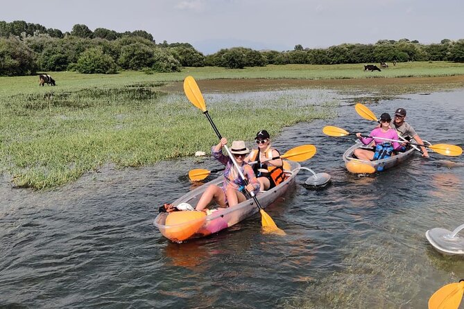 Kayak or Stand Up Paddle in Shkodra Lake and Buna River - Key highlights at a glance