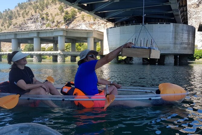 Kayak or Stand Up Paddle in Shkodra Lake and Buna River - Drunk on nature, not logistics: snack lunch and the Buna River routine