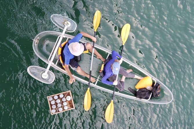 Kayak or Stand Up Paddle in Shkodra Lake and Buna River - Ramsar and IBA nesting access for the Whiskered Tern