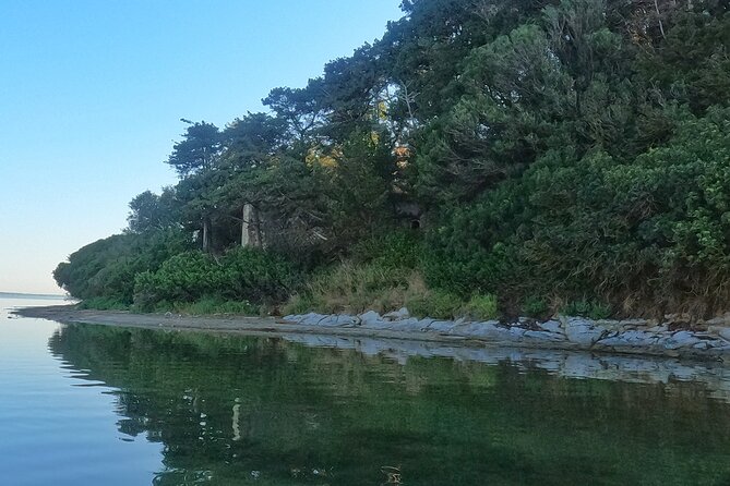 Kayaking at Narta Lagoon from Vlore - From Vlore To the Water: The 30 Minute Transfer and Small Group Pace