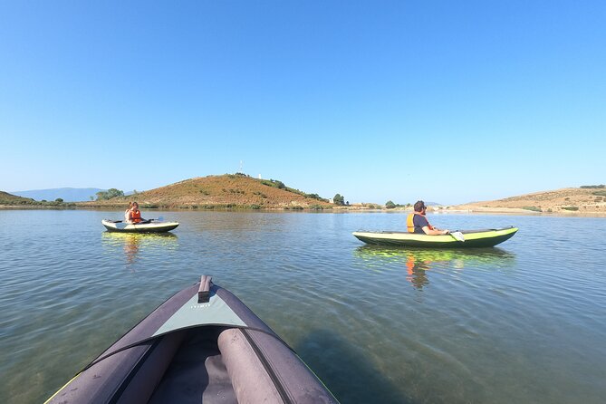 Kayaking at Narta Lagoon from Vlore - Birdwatching Tips That Actually Help (Especially in the Morning)