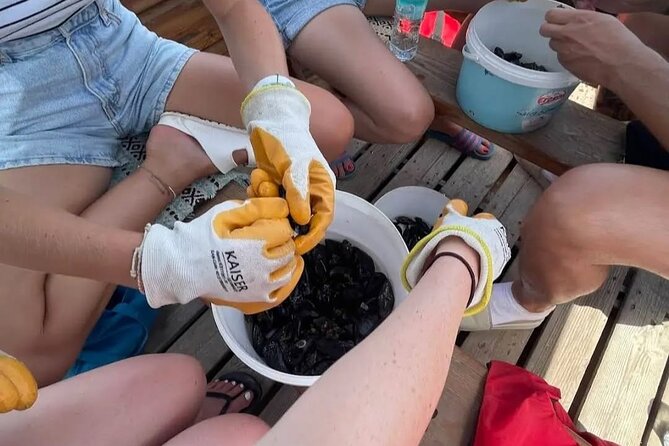 Ksamil: Mussel Sailing Tour with Food and Drink in Albania - Price and value: is $69 per person fair?