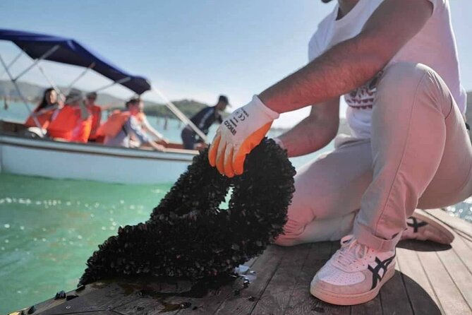 Ksamil: Mussel Sailing Tour with Food and Drink in Albania - Who Should Book This Mussel Sailing Tour (and Who Might Skip)