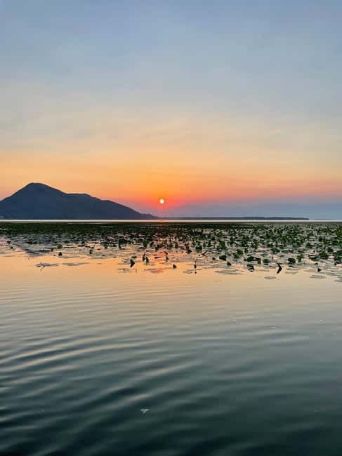 Lake Skadar Sunrise Private Tour With Guide - Virpazar to the Open Lake, Reeds, Water Lilies, and Quiet Water
