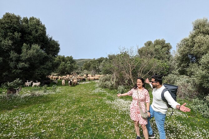Llogara Caesar's Path,Orikum Park & Marmiroi Church Guided Tour - Orikum Archaeological Park in the Pasha Liman Naval base setting