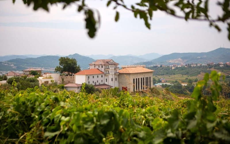 Lundër: Lundra Winery Guided Tour with Wine Tasting - Lundra Winery, a Tirana District Stop That Feels Like a Real Operation