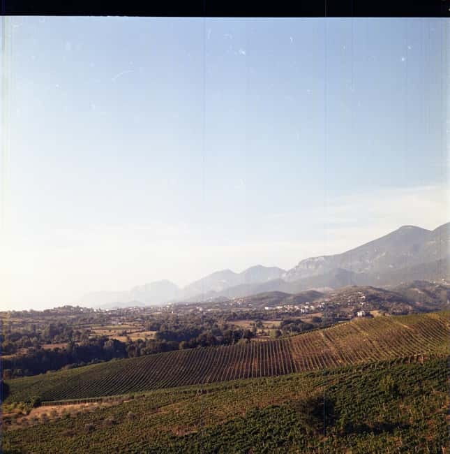 Lundër: Lundra Winery Guided Tour with Wine Tasting - The 90-Minute Timeline: What You Get, What You Don’t