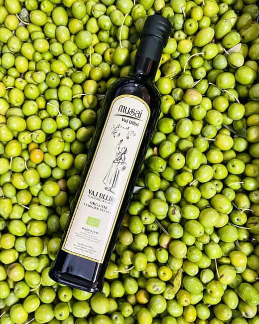 Musai Olive Oil Tour and Tasting - Key highlights you’ll remember