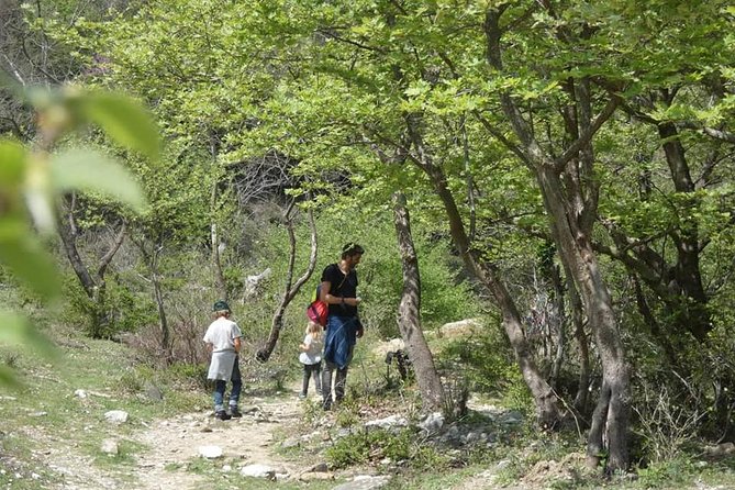 Osumi Canyons and Bogova Waterfall from Berat - Tour by 1001 Albanian Adventures - Guide impact: English, pacing, and photo help