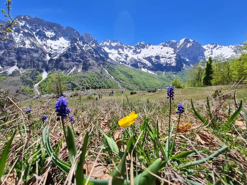 Pass Valbona - Theth: Albanian Alps in a 3-Day Trip - Koman Lake: boat time, water options, and that first wow moment