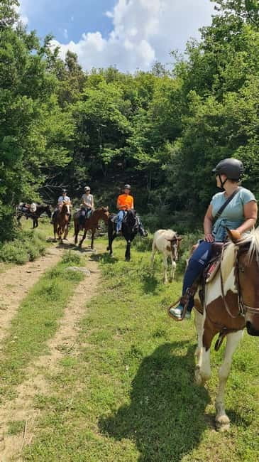 Përmet: Amazing Horse Riding Experience at Vjosa NP - Who this horseback trek is best for