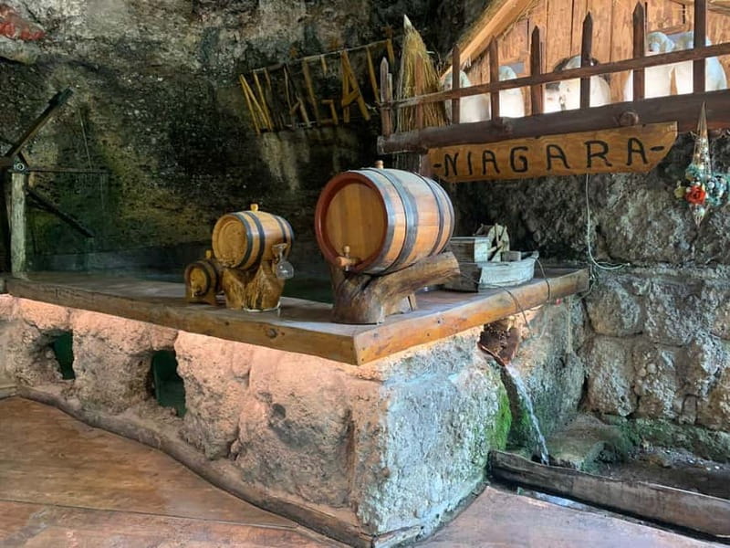 Podgorica: Albania visit, Skadar Lake and Rozafa Castle Tour - What You Gain With a Private English Guide (and Why Tanja Pops Up)
